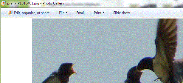Capture-image resize prefix Windows 7.GIF