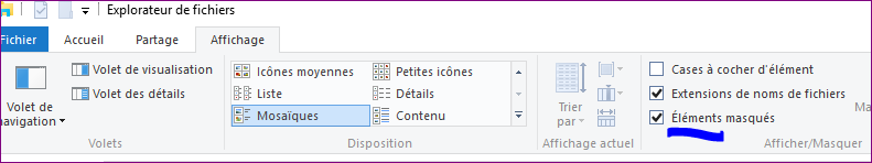 Capture-démasquer les fichiers.PNG