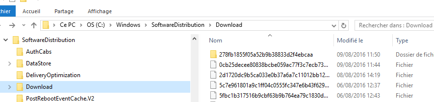 Capture-dossier download software distro.PNG