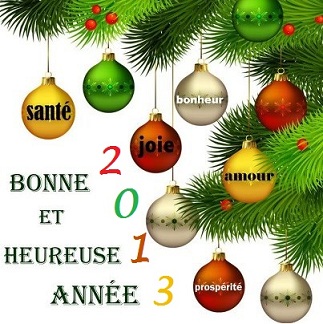 Voeux2013-1.jpg