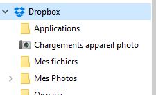 Capture-dropbox dans explorateur.JPG