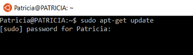 Bash-1.png