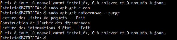 Bash-3.png