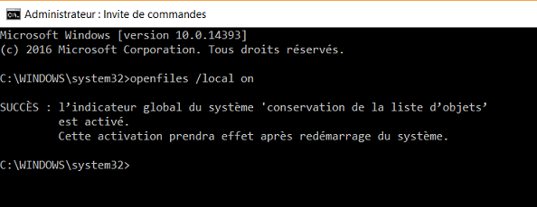 Openfiles-2.png