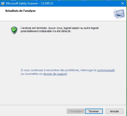 Capture-analyse mss terminée aucun virus.JPG