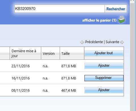 Capture-catalogue update panier.JPG