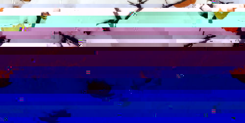 Abricotsgelés.jpg