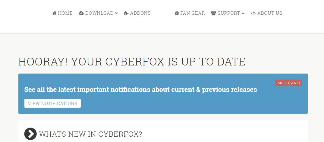 Capture-première fenêtre cyberfox port.JPG
