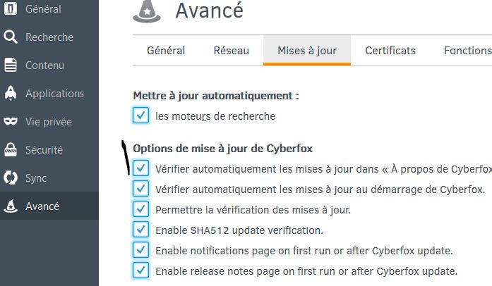 Capture-MAJ automatique Cyberfox.JPG
