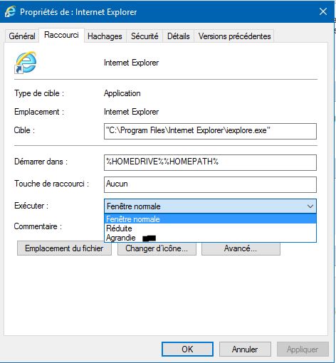 Capture-Fenêtre IE agrandie.JPG
