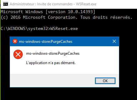 Capture-ms windows store-PurgeCache ne démarre pas.JPG
