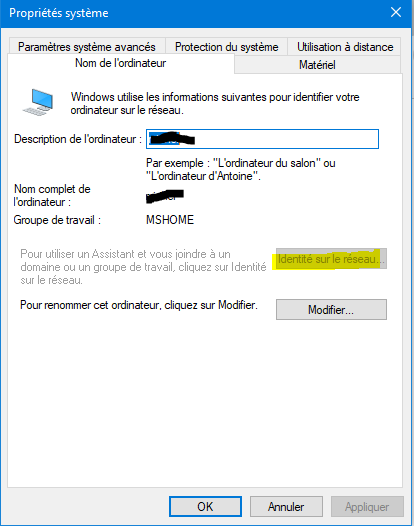 Capture-propriétés système, identité réseau est grisé.PNG
