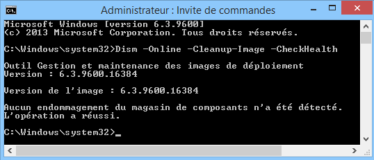 W8_DISM-checkhealth.png