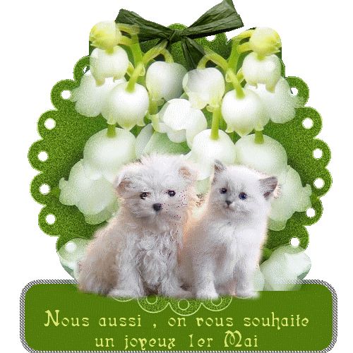 1ermai 2017.gif