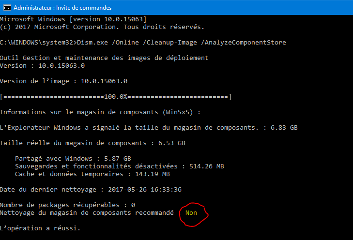 Capture-nettoyage composants Winsxs.PNG