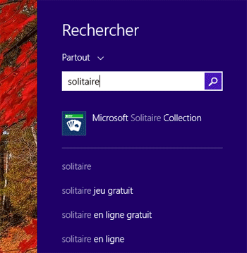W8.1_Rechercher.png