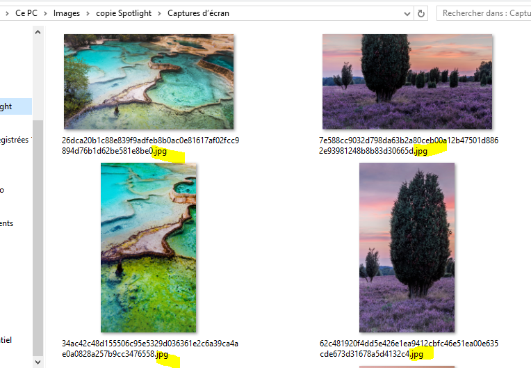 Capture-copie dossier images spotlight.PNG