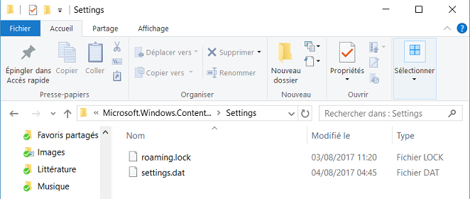 Bug Windows à la Une-1.png