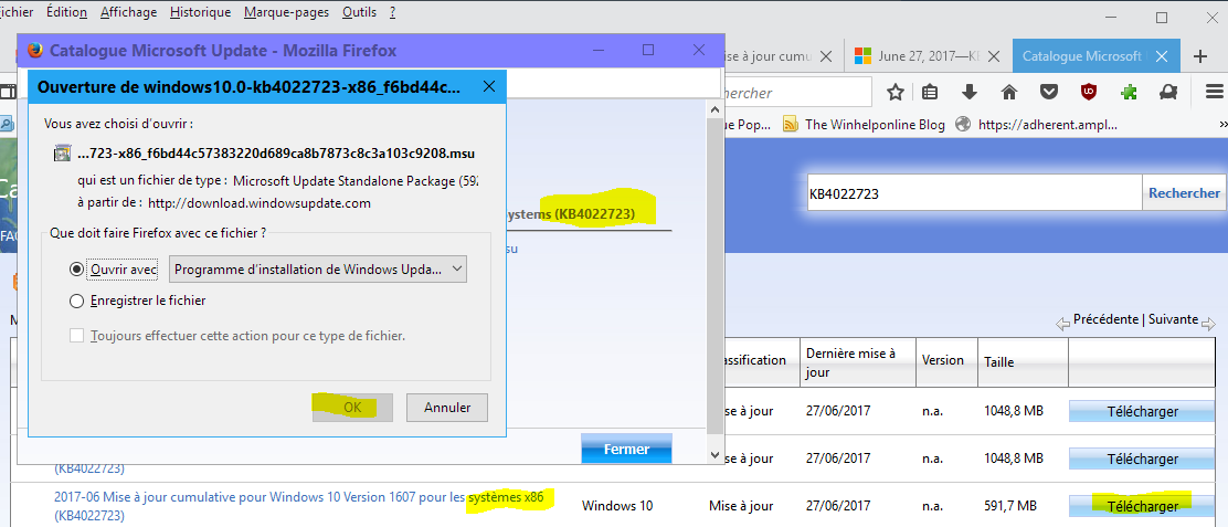 Capture-ouverture de la mise à jour x86 -Windows 10-KB4022723.PNG