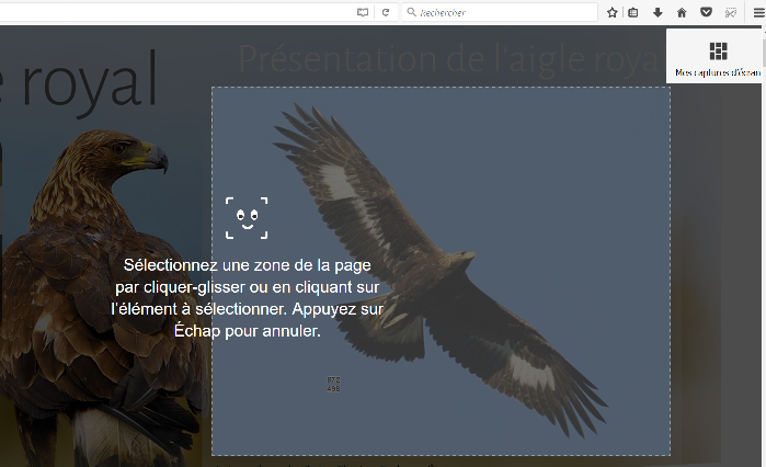 Screenshots dans Firefox-3.png