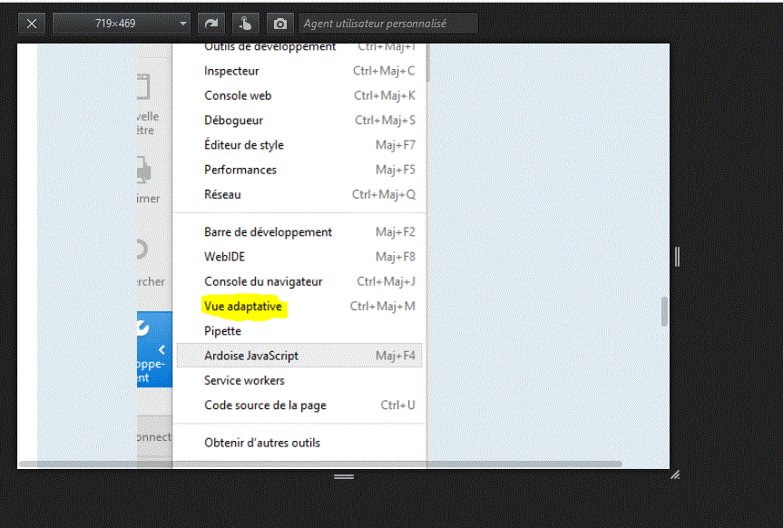 Capture-capture d'écran dans Firefox depuis outil développement.GIF