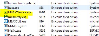 Capture-process du gestionnaire avec mbam activé.JPG