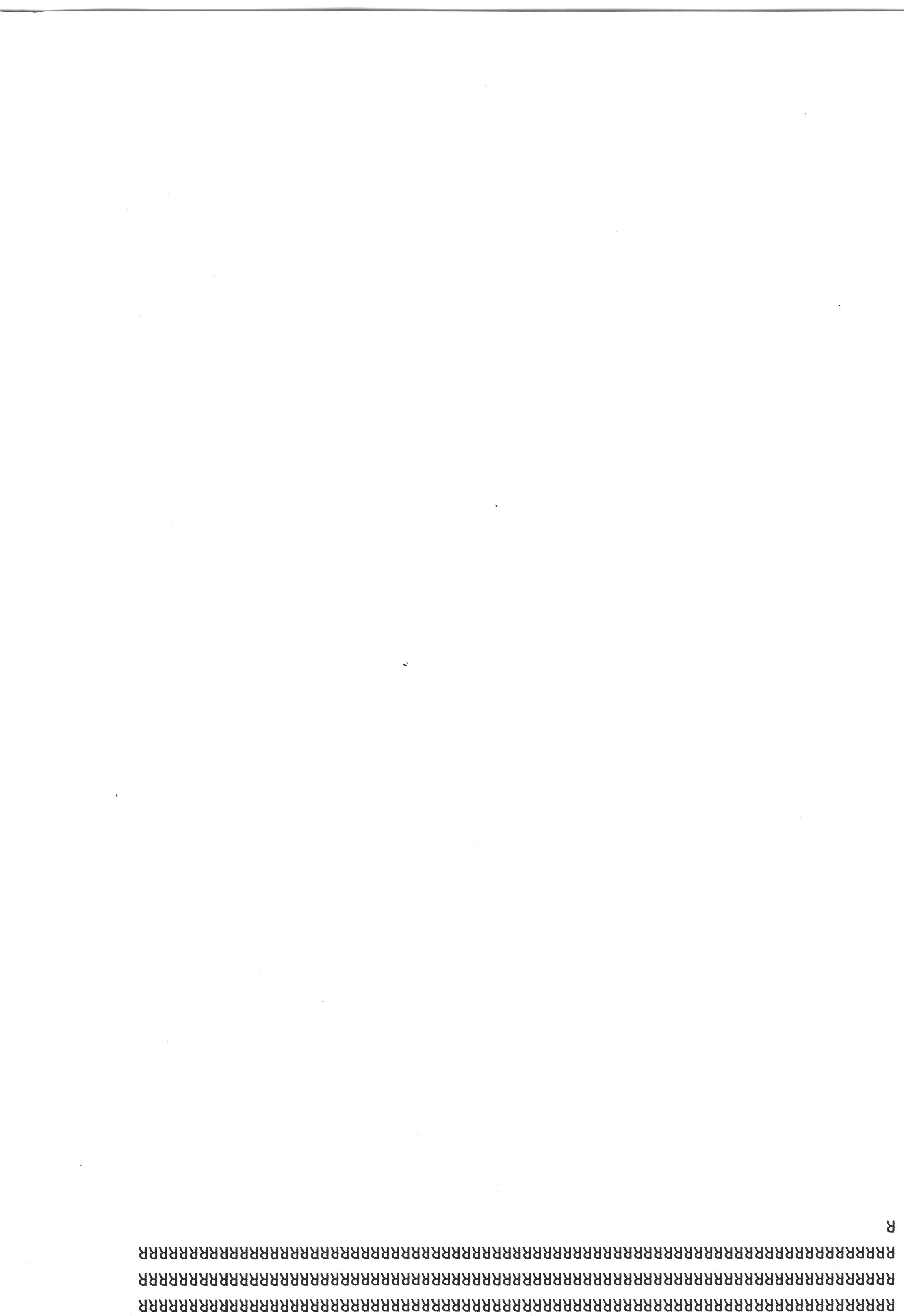 img009.jpg