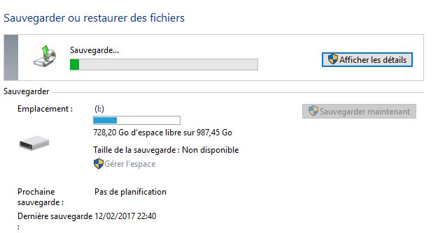 Capture-sauvegarde en cours 02102017.JPG