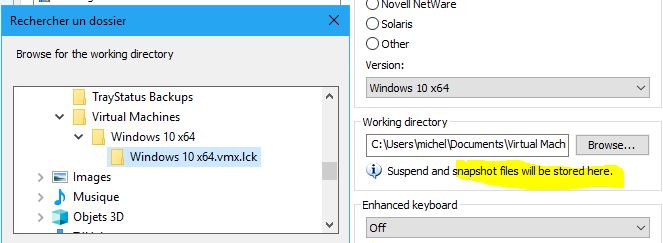 Capture-snapshots VMware-settings.JPG