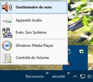 Capture-Gestionnaire Realtek suite activation.JPG