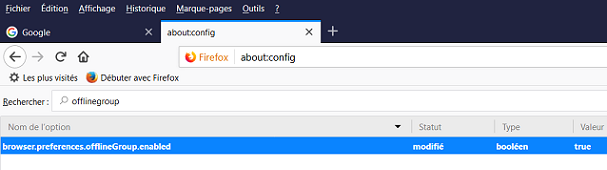 Contenu Web Firefox-1.png