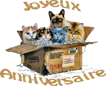 joyeux-anniversaire-chat.gif