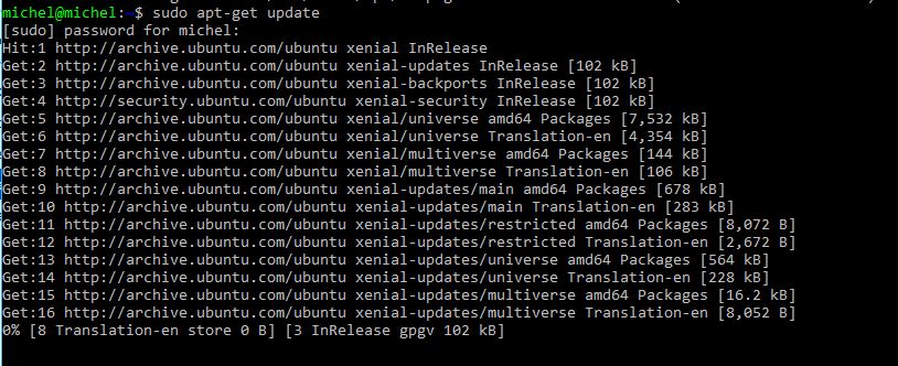 Capture-update Ubuntu commande line.JPG