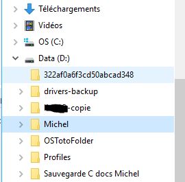 Capture-dossiers créés dans D.JPG