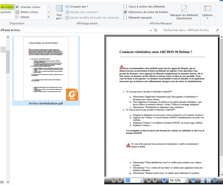 Capture-volet visualisation affichage grande icone.JPG