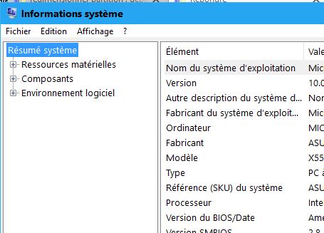 Capture-infos système.JPG
