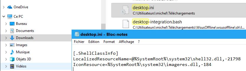 Capture-ce PC downloads-desktop.ini.JPG