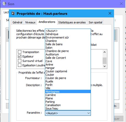 Capture-propriétés Realtek.JPG