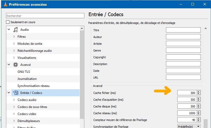 Capture-VLC entrée codecs cache-fichiers_LI.jpg