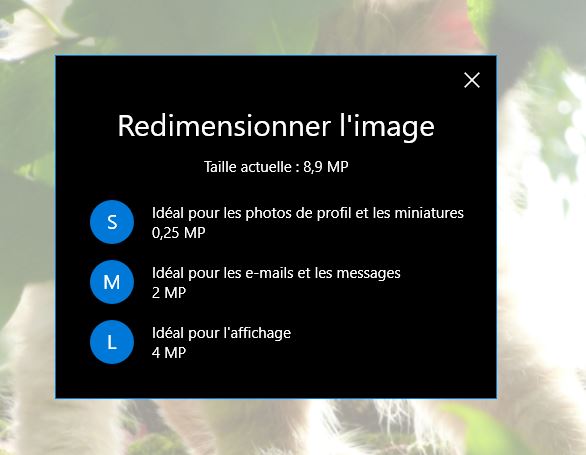 Capture-Redimensionner avec Photo.JPG