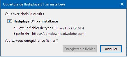 Capture-enregistrer Flash.JPG