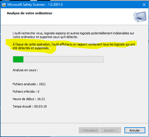 Capture-msert-analyse en cours.PNG