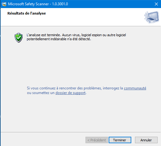 Capture-Résultat d'analyse msert.PNG