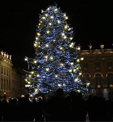 Capture-sapin de Nancy-Fr3 régions.jpg