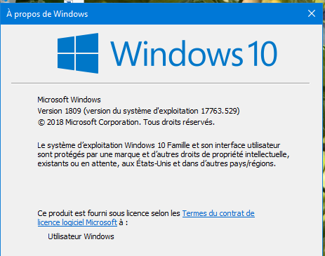 Capture-version Windows 1809 déjà installée.PNG