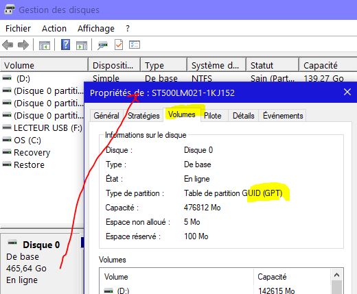 Capture-vérifier GPT.JPG