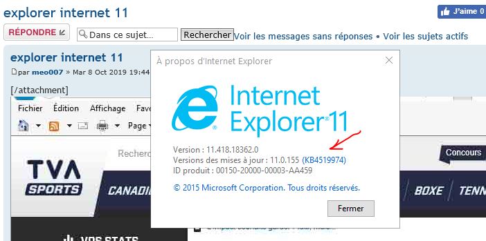 Capture-Mise à jour IE 11 récente.JPG
