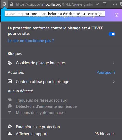 Capture-Pistage Firefox activé reunica.JPG