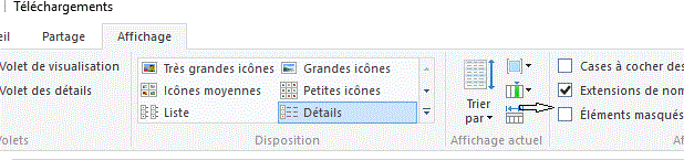 Capture-affichage explorateur.GIF