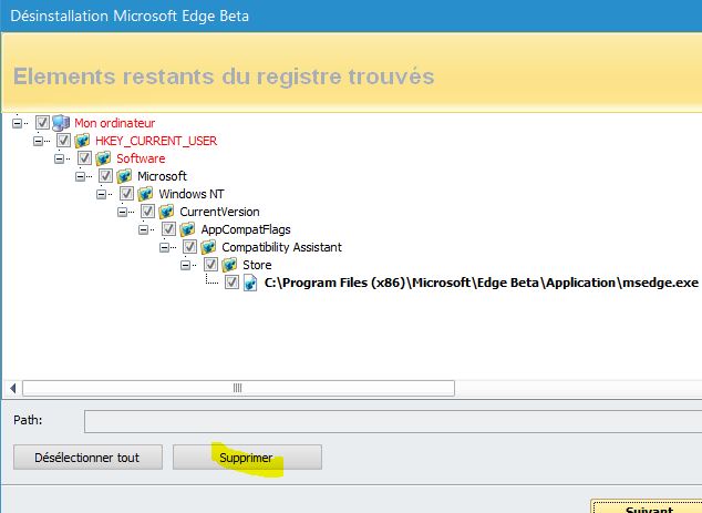 Capture-RevoUninstaller éléments restants du registre.JPG